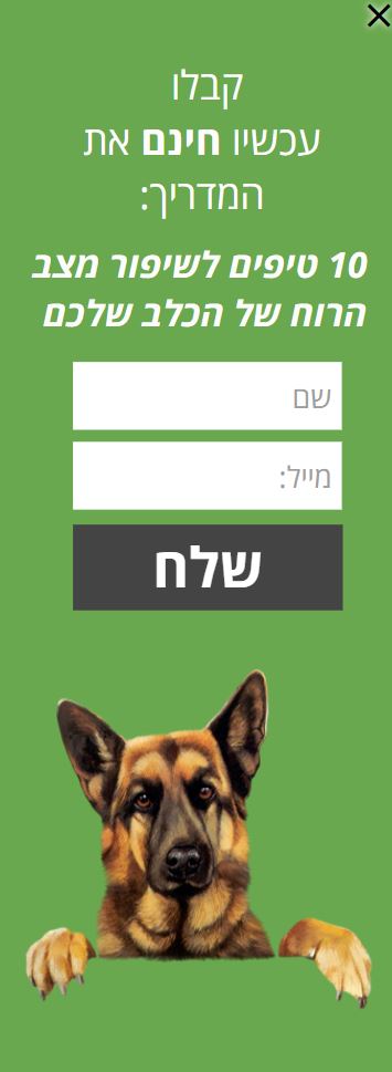 פופאפ צדדי גדול